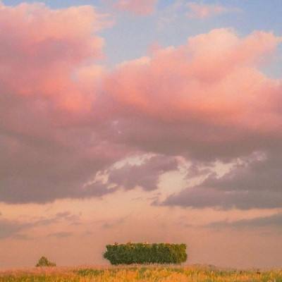 利澳平台注册开户