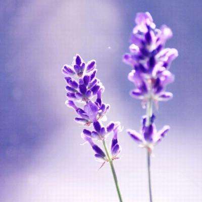 赌博pg电子平台