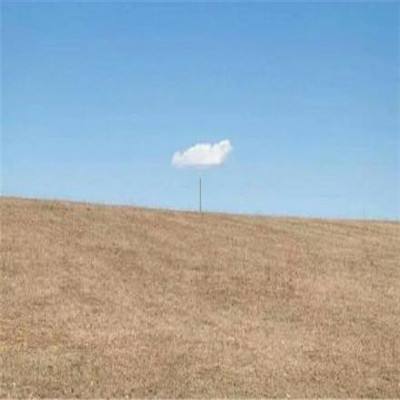 娱乐宝官网下载手机版