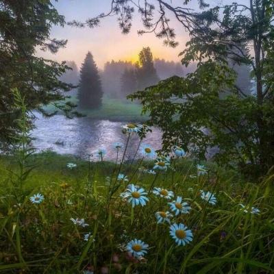 大发国际app下载