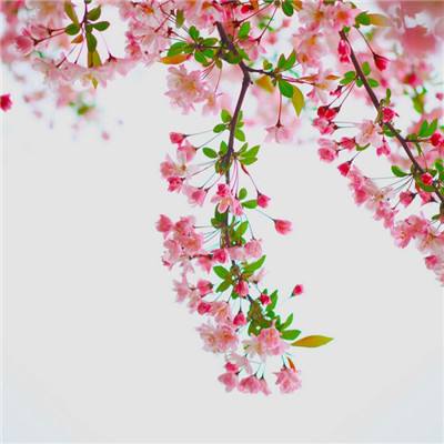 云平台app手机版下载