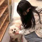 kaiyun体育官方下载